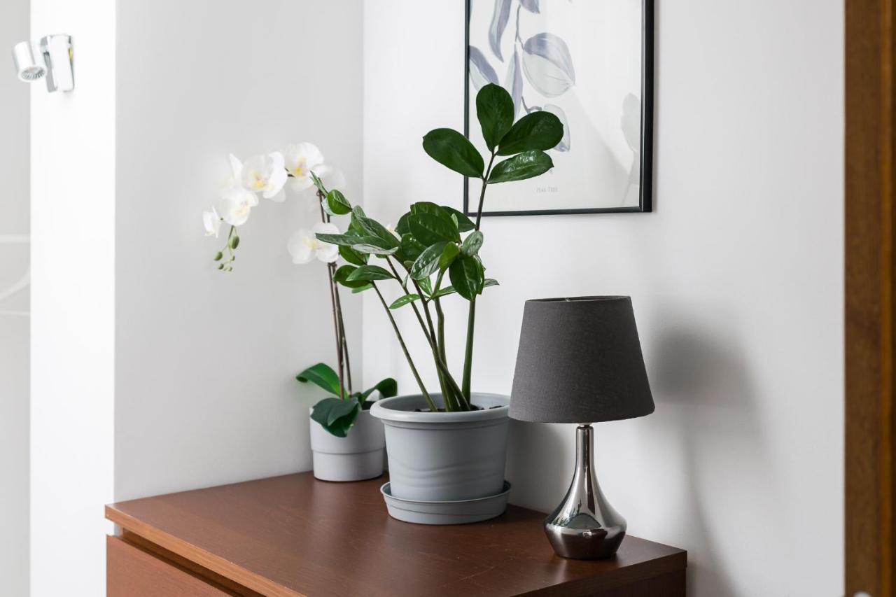 Apartament "Holy" Poznaň Exteriér fotografie